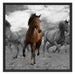Mustangherde im Sand Schattenfugenrahmen Quadratisch 70x70