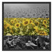 Wunderschönes Sonnenblumenfeld Schattenfugenrahmen Quadratisch 70x70