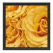 Blumen Rosen Schattenfugenrahmen Quadratisch 40x40