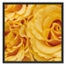 Blumen Rosen Schattenfugenrahmen Quadratisch 70x70