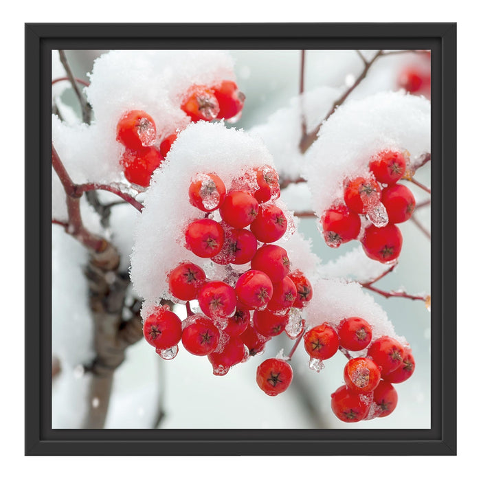 Gefrorene Ã„ste Schattenfugenrahmen Quadratisch 40x40