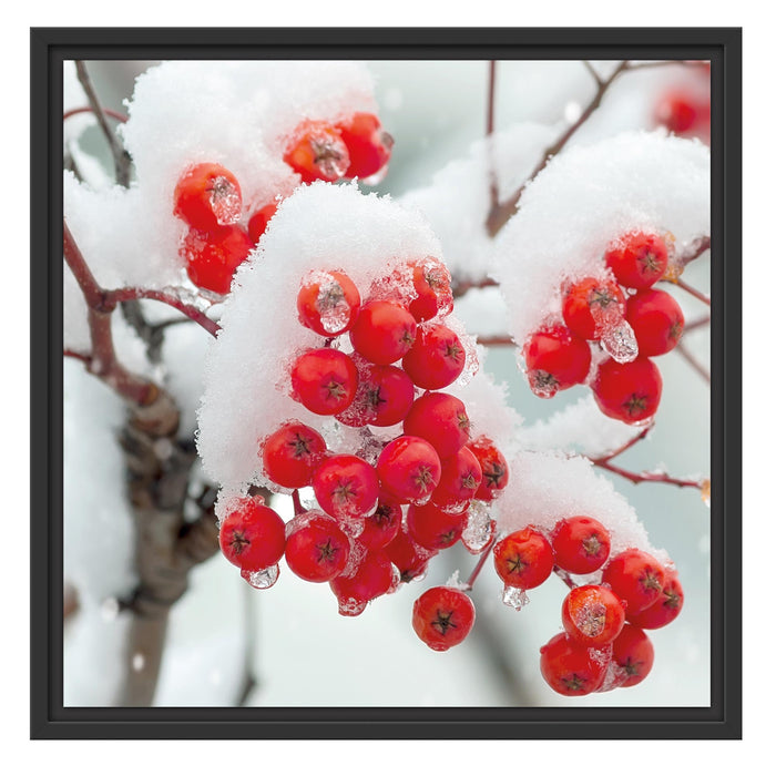 Gefrorene Ã„ste Schattenfugenrahmen Quadratisch 55x55