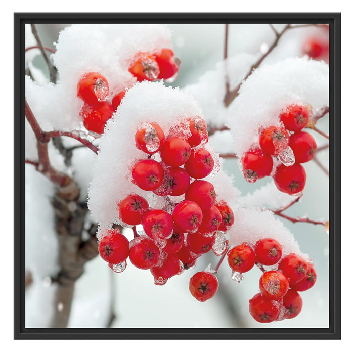 Gefrorene Ã„ste Schattenfugenrahmen Quadratisch 70x70