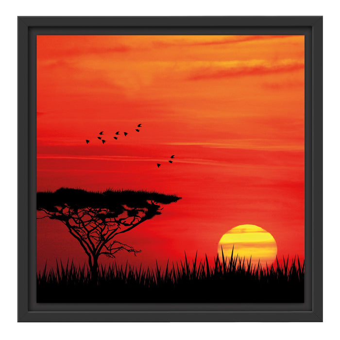 Roter Sonnenuntergang in Afrika Schattenfugenrahmen Quadratisch 40x40