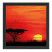 Roter Sonnenuntergang in Afrika Schattenfugenrahmen Quadratisch 40x40