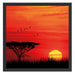 Roter Sonnenuntergang in Afrika Schattenfugenrahmen Quadratisch 55x55