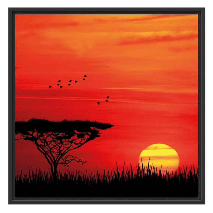 Roter Sonnenuntergang in Afrika Schattenfugenrahmen Quadratisch 70x70