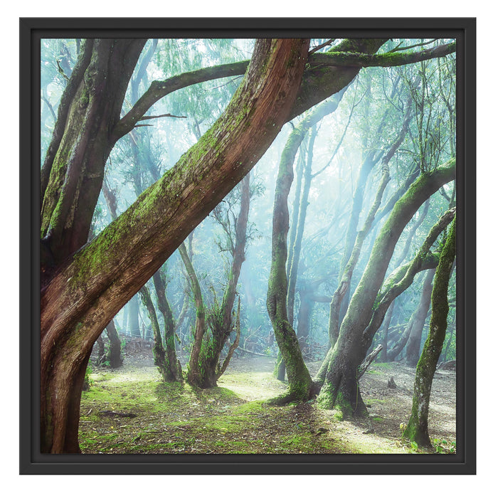 Wald  B&W Schattenfugenrahmen Quadratisch 55x55