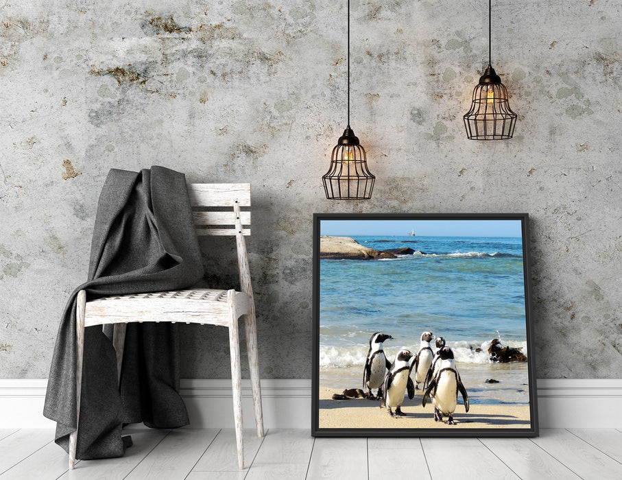 Pinguine am Strand Quadratisch Schattenfugenrahmen Dekovorschlag
