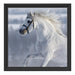 Weißes Pferd auf Schneewiese B&W Schattenfugenrahmen Quadratisch 40x40