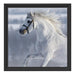Weißes Pferd auf Schneewiese B&W Schattenfugenrahmen Quadratisch 40x40