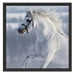 Weißes Pferd auf Schneewiese B&W Schattenfugenrahmen Quadratisch 55x55