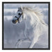 Weißes Pferd auf Schneewiese B&W Schattenfugenrahmen Quadratisch 70x70