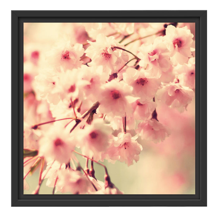 Kirschblüten B&W Schattenfugenrahmen Quadratisch 40x40
