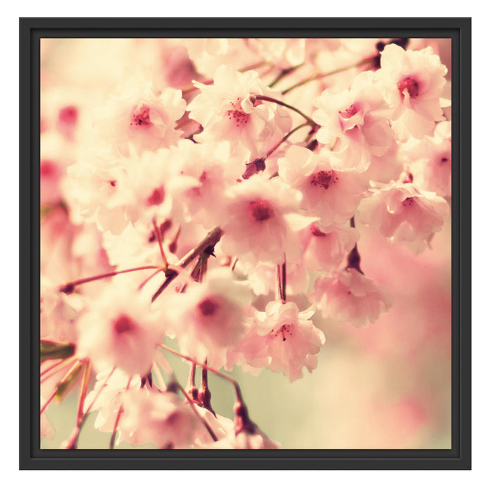 Kirschblüten B&W Schattenfugenrahmen Quadratisch 55x55