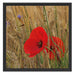 Mohnblumen im Getreidefeld B&W Schattenfugenrahmen Quadratisch 55x55