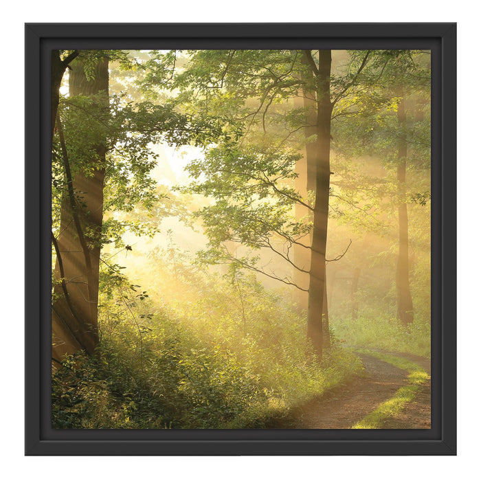 Waldweg B&W Schattenfugenrahmen Quadratisch 40x40