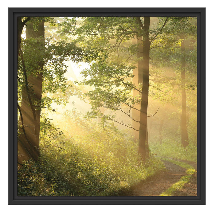 Waldweg B&W Schattenfugenrahmen Quadratisch 55x55