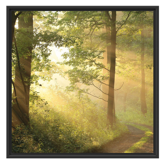 Waldweg B&W Schattenfugenrahmen Quadratisch 70x70