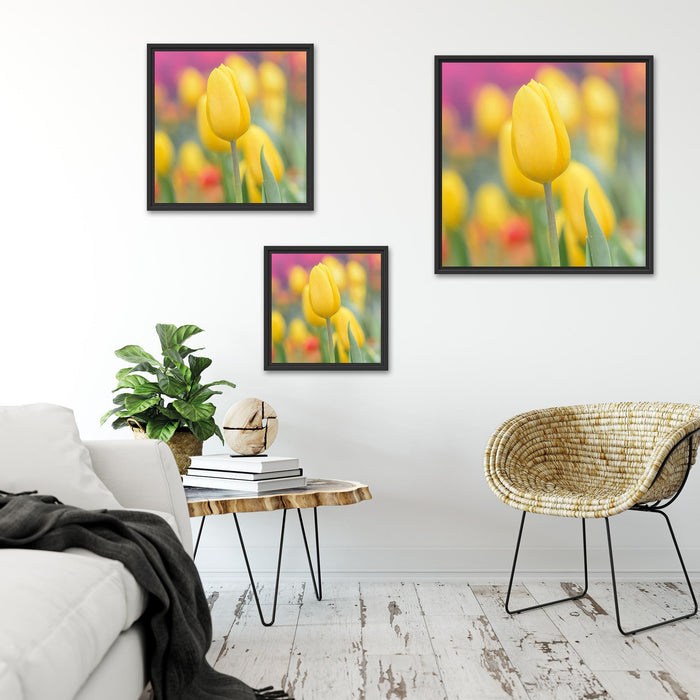 Gelbe Tulpen im Frühling B&W Quadratisch Schattenfugenrahmen Wohnzimmer