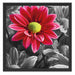 Gerbera Blüten Schattenfugenrahmen Quadratisch 55x55
