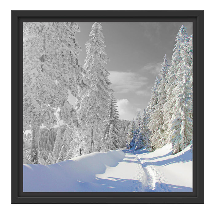 Winterlandschaft mit Bäumen Schattenfugenrahmen Quadratisch 40x40