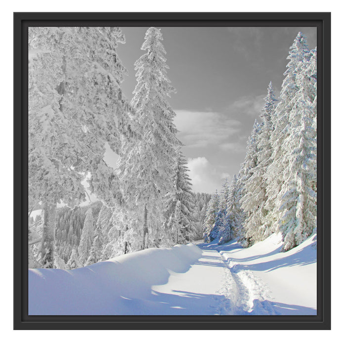 Winterlandschaft mit Bäumen Schattenfugenrahmen Quadratisch 55x55