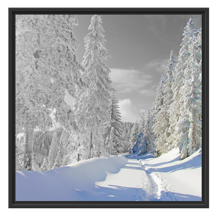 Winterlandschaft mit Bäumen Schattenfugenrahmen Quadratisch 70x70