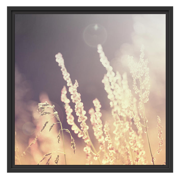 Gräser bei abendlicher Dämmerung Schattenfugenrahmen Quadratisch 55x55