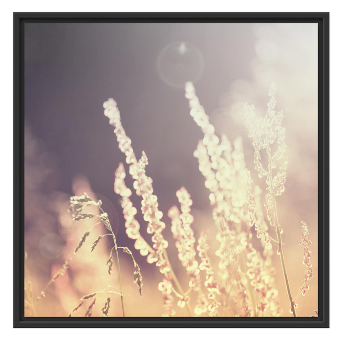 Gräser bei abendlicher Dämmerung Schattenfugenrahmen Quadratisch 70x70