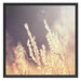 Gräser bei abendlicher Dämmerung Schattenfugenrahmen Quadratisch 70x70