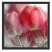 Wunderschöne Tulpen Schattenfugenrahmen Quadratisch 55x55