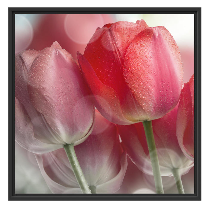 Wunderschöne Tulpen Schattenfugenrahmen Quadratisch 70x70