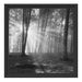 Wald mit Sonnenstrahlen Schattenfugenrahmen Quadratisch 40x40
