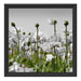 Blumenwiese Mohnblumen Schattenfugenrahmen Quadratisch 40x40