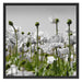 Blumenwiese Mohnblumen Schattenfugenrahmen Quadratisch 70x70