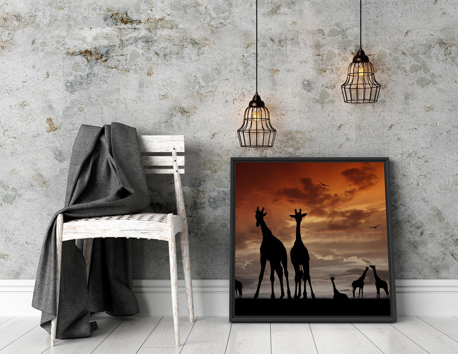 Afrika Giraffen im Sonnenuntergang Quadratisch Schattenfugenrahmen Dekovorschlag