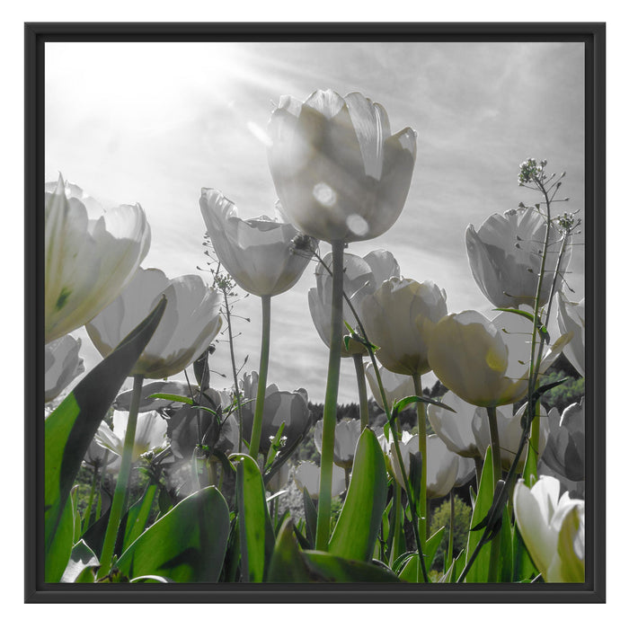 wunderschöne Tulpenwiese Schattenfugenrahmen Quadratisch 70x70