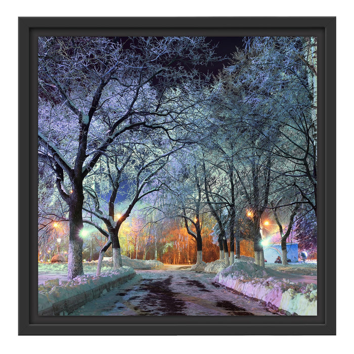 Baumallee im Winter Schattenfugenrahmen Quadratisch 40x40