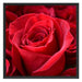 Romantische Rosen Schattenfugenrahmen Quadratisch 70x70