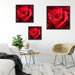 Romantische Rosen Quadratisch Schattenfugenrahmen Wohnzimmer