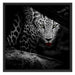 Neugieriger Gepard Schattenfugenrahmen Quadratisch 70x70