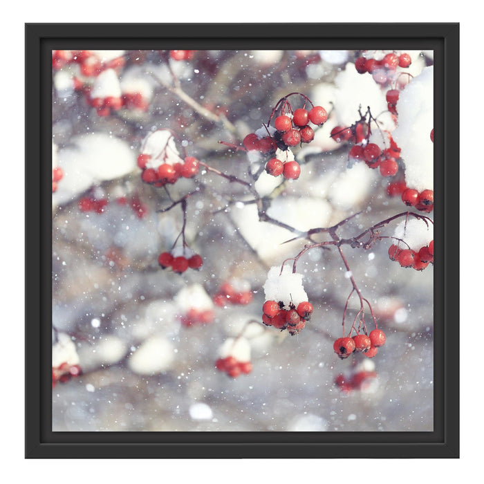 Vogelbeeren mit Schnee bedeckt Schattenfugenrahmen Quadratisch 40x40