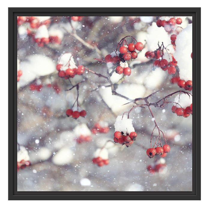 Vogelbeeren mit Schnee bedeckt Schattenfugenrahmen Quadratisch 55x55