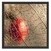 Rote Physalis Schattenfugenrahmen Quadratisch 55x55
