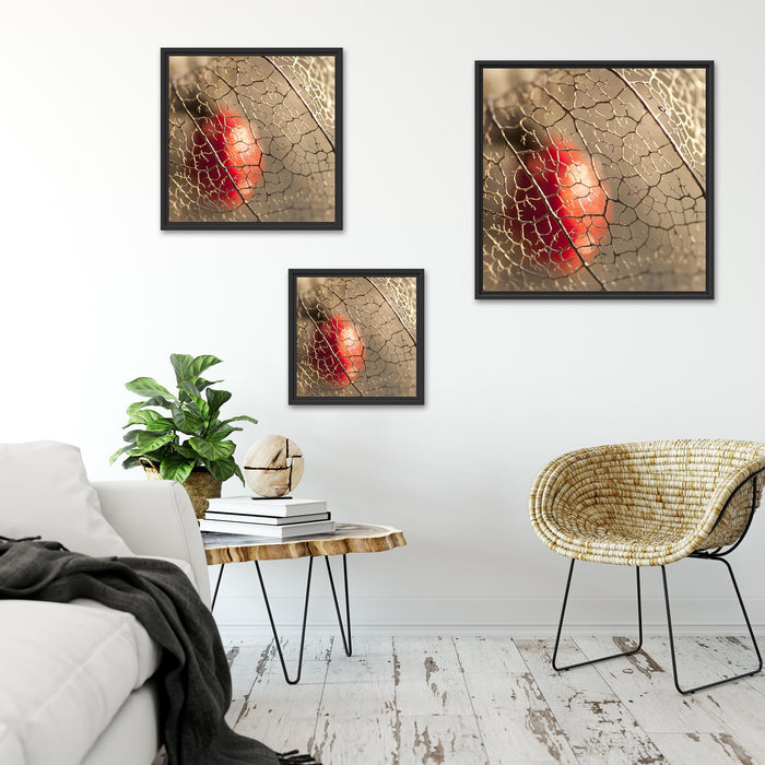 Rote Physalis Quadratisch Schattenfugenrahmen Wohnzimmer