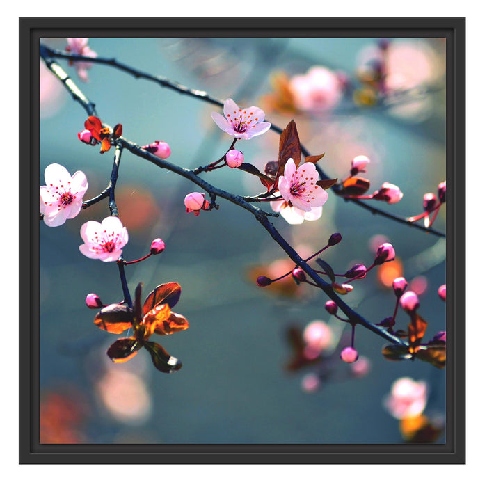 Sakura Blüten Schattenfugenrahmen Quadratisch 55x55