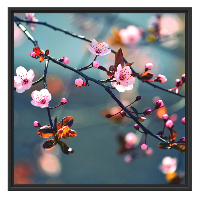 Sakura Blüten Schattenfugenrahmen Quadratisch 70x70
