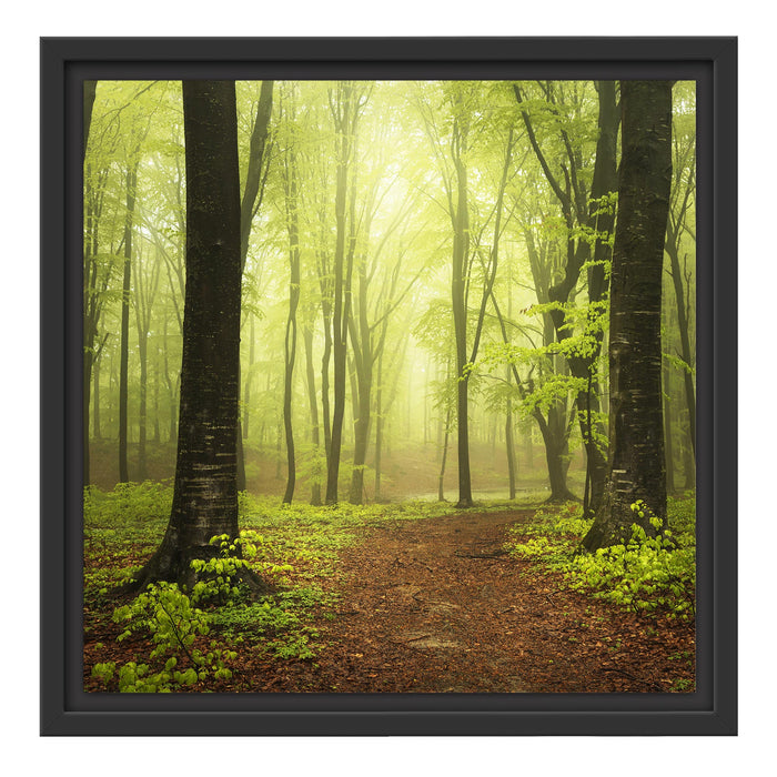 Weg in den Wald Schattenfugenrahmen Quadratisch 40x40
