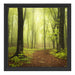 Weg in den Wald Schattenfugenrahmen Quadratisch 40x40